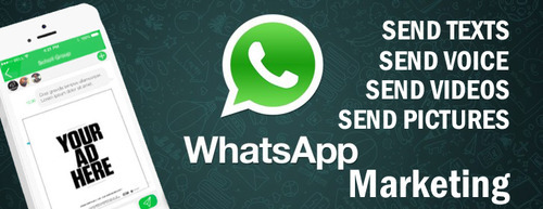Whatsapp Bulk Marketing